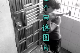 蒙城为什么选择专业追讨公司来处理您的债务纠纷？